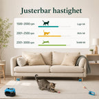 Purrnivo Automatic String Toy for Cats adjustable speed - Petifo