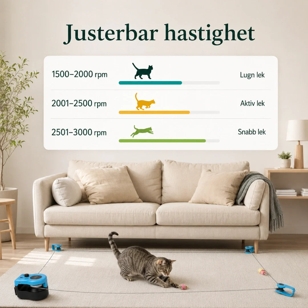 Purrnivo Automatic String Toy for Cats adjustable speed - Petifo