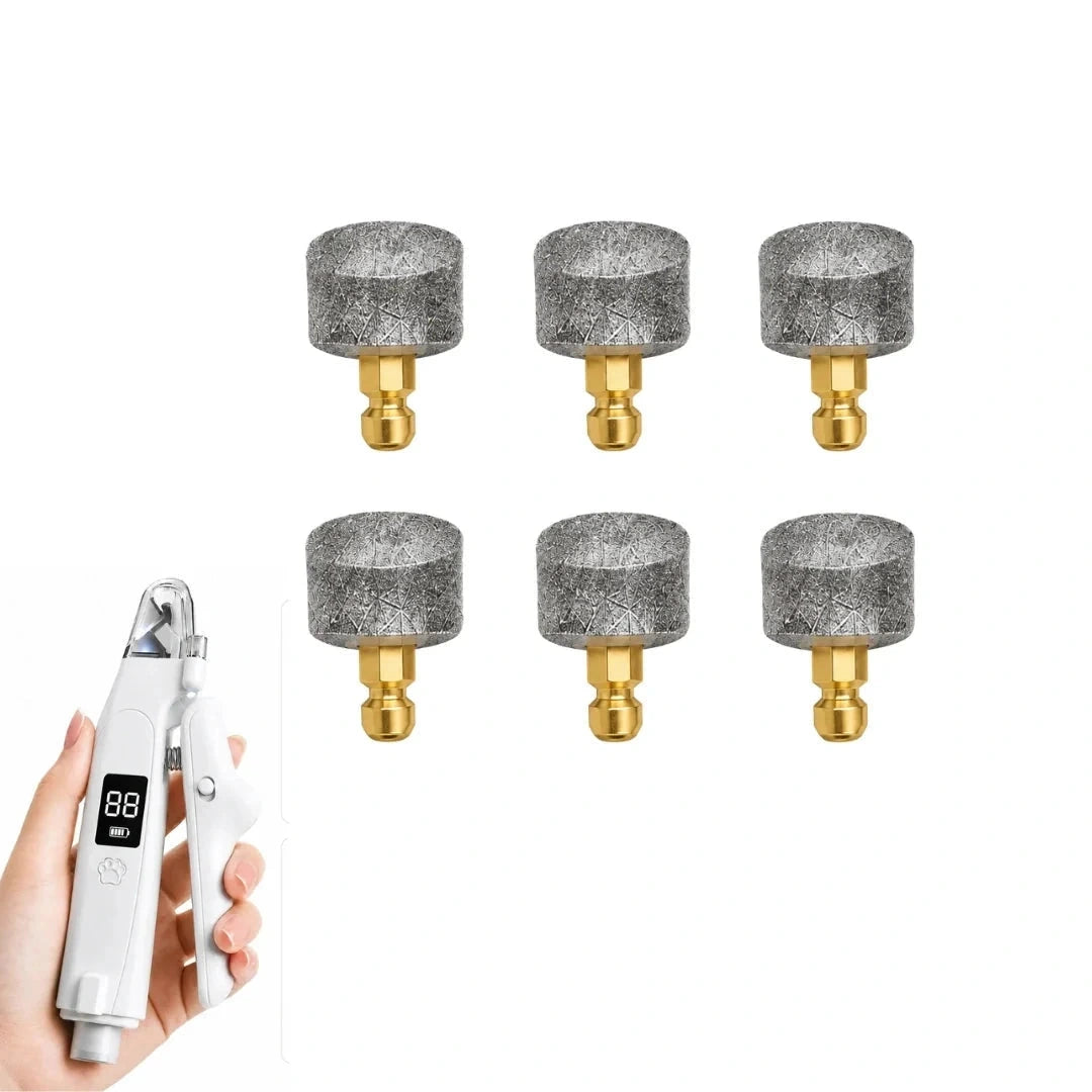Silvetti replacement nail grinder heads: Six replacement nail grinder heads beside the compatible tool - Petifo