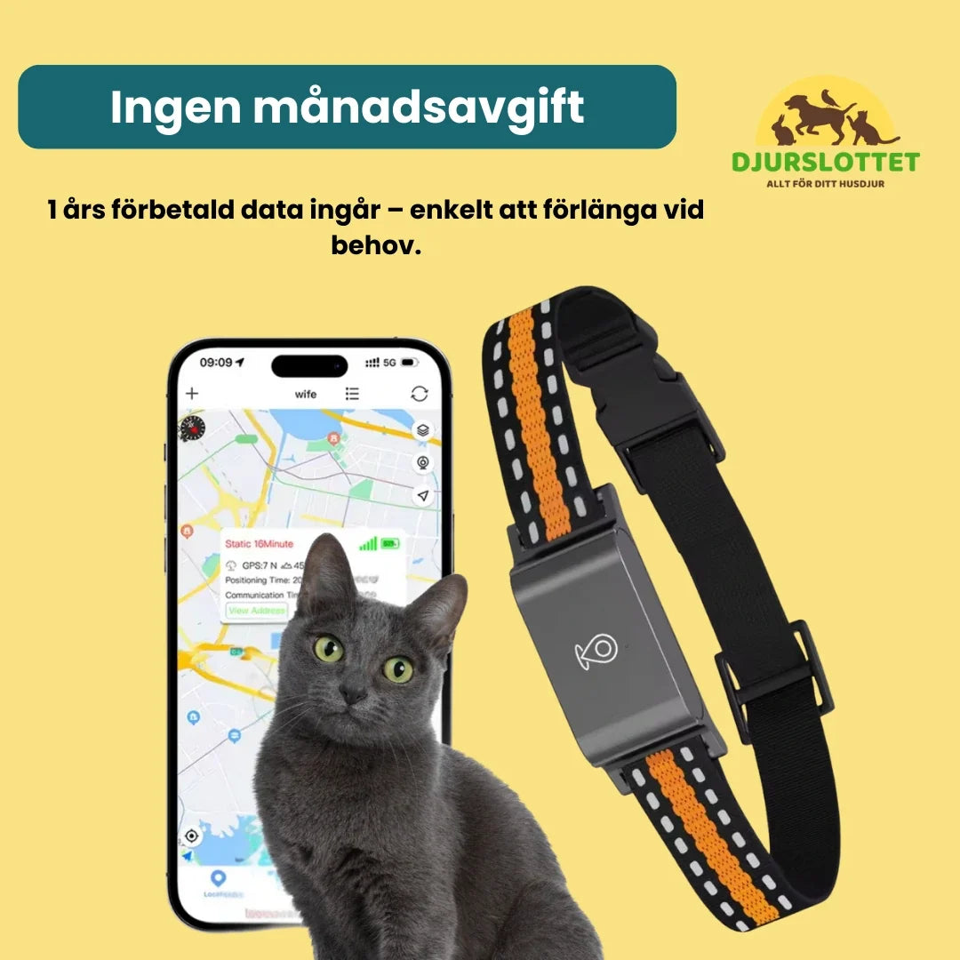 SIM card for GPS collar with no monthly fee and prepaid data Petifo