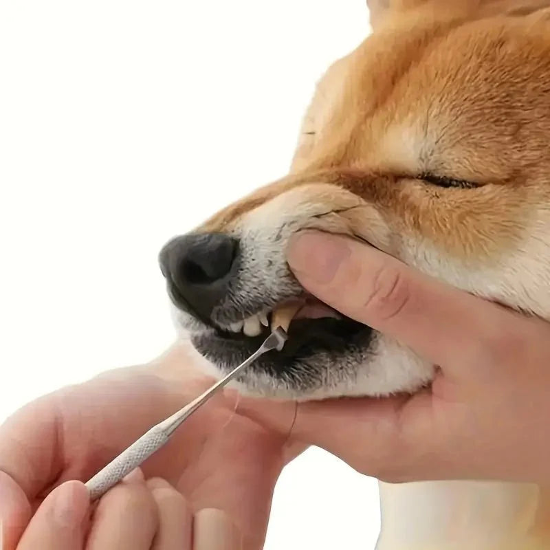 Tartar Scraper For Dogs,
Remove Tartar, Tartar Scraper 3 sets for dogs and cats - Petifo