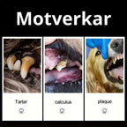 Tartar Scraper For Dogs,
Remove Tartar, Tartar Scraper 3 sets for dogs and cats - Petifo