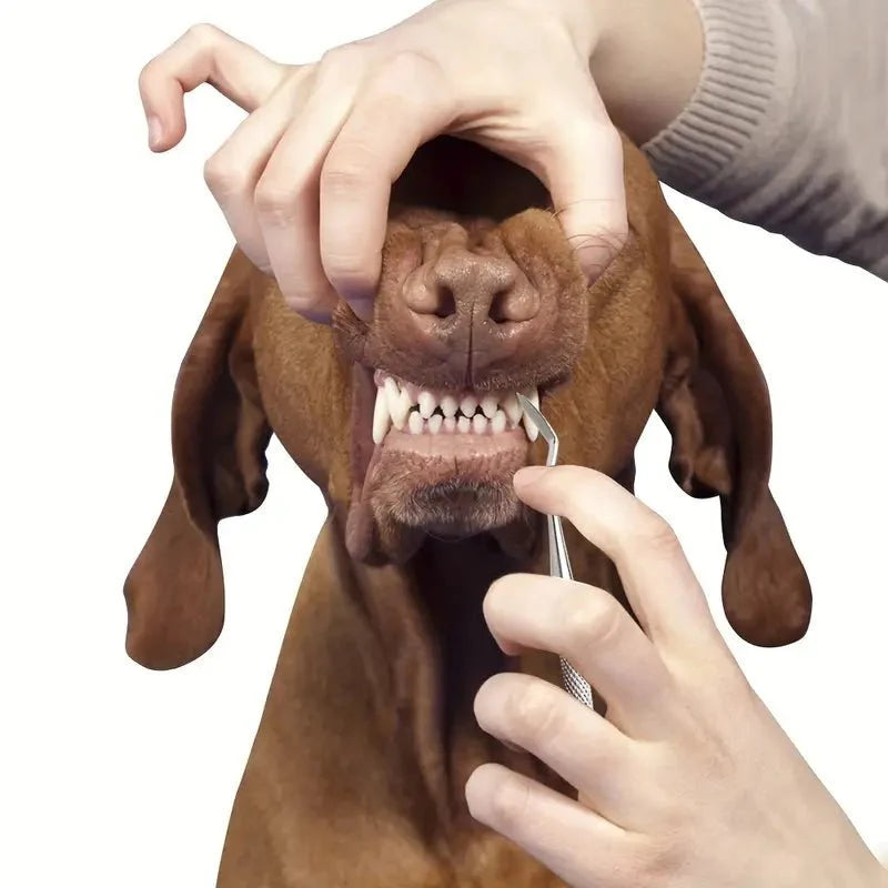 Tartar Scraper 3 sets for dogs and cats - Petifo