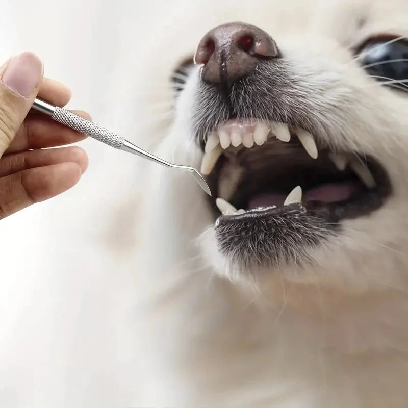 Tartar Scraper For Dogs,
Remove Tartar, Tartar Scraper 3 sets for dogs and cats - Petifo