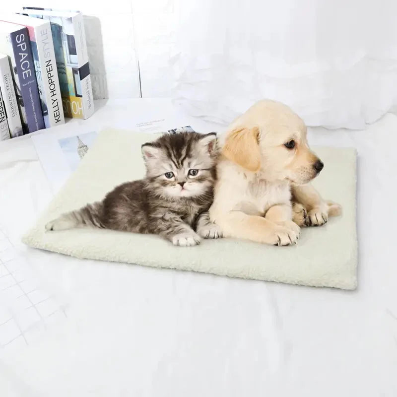 Cat Warming Pad, 
Electric Cat Warming Pad, Self-Heating Warming Pad